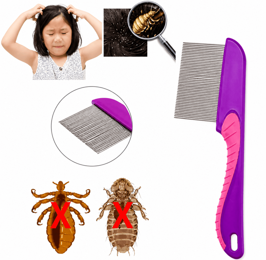 Anti-Lice Comb – Stainless Steel Fine-Toothed Nit & Flea Removal Tool - The Nexa Shop