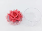 ONEYIOO 3D Rose Flower Blusher & Highlighter 2-in-1 Luminous Compact - The Nexa Shop