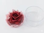 ONEYIOO 3D Rose Flower Blusher & Highlighter 2-in-1 Luminous Compact - The Nexa Shop