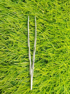 Stainless Steel Precision Tweezers – Ventilated Ultra-Fine Point Grooming Tool - The Nexa Shop